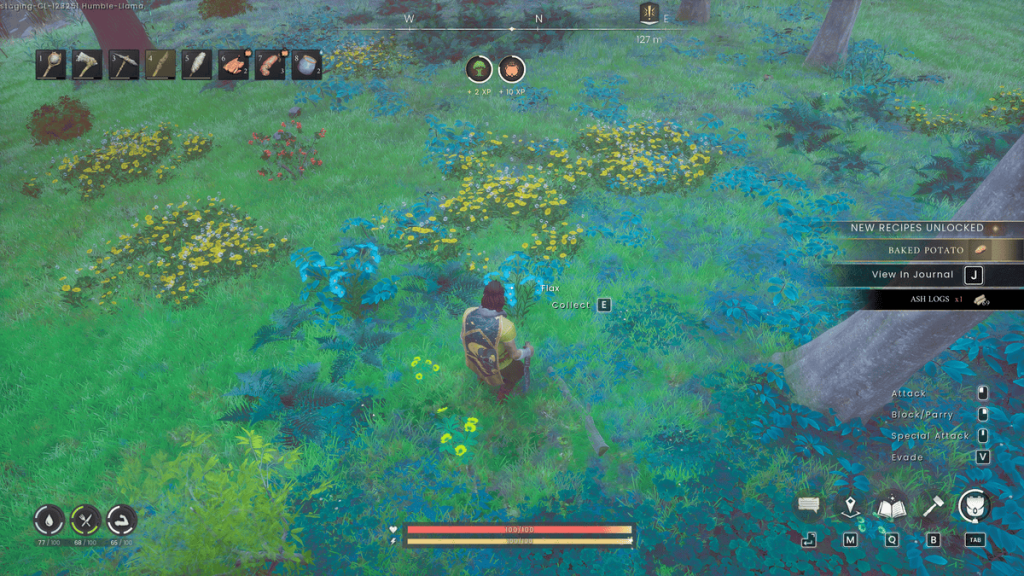 Picking Flax from a field