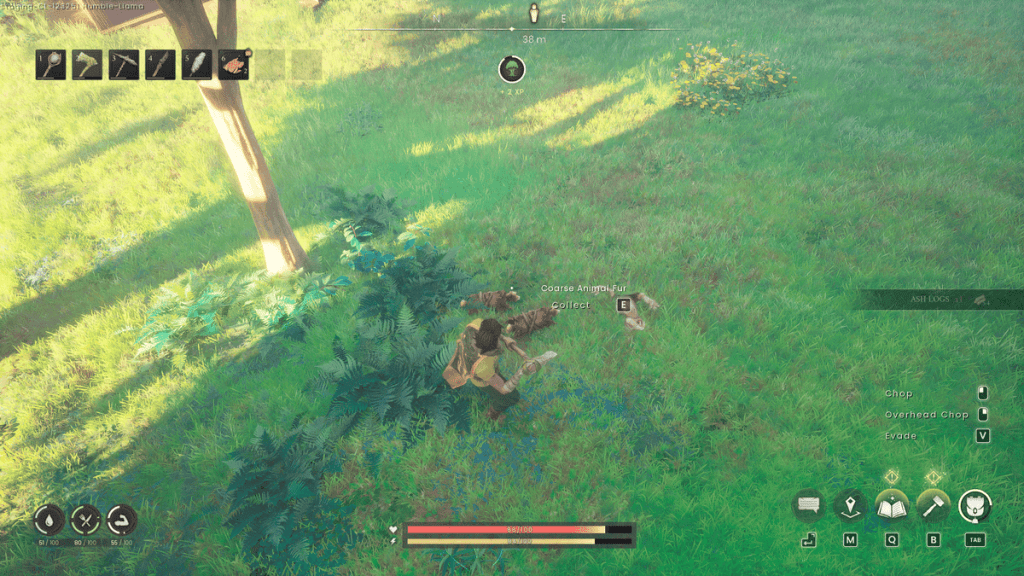 Coarse Animal Fur in Runescape Dragonwilds