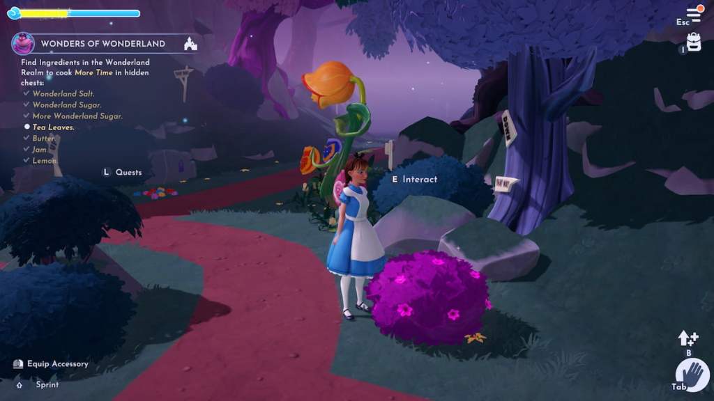 Tea leaves bush in ddv