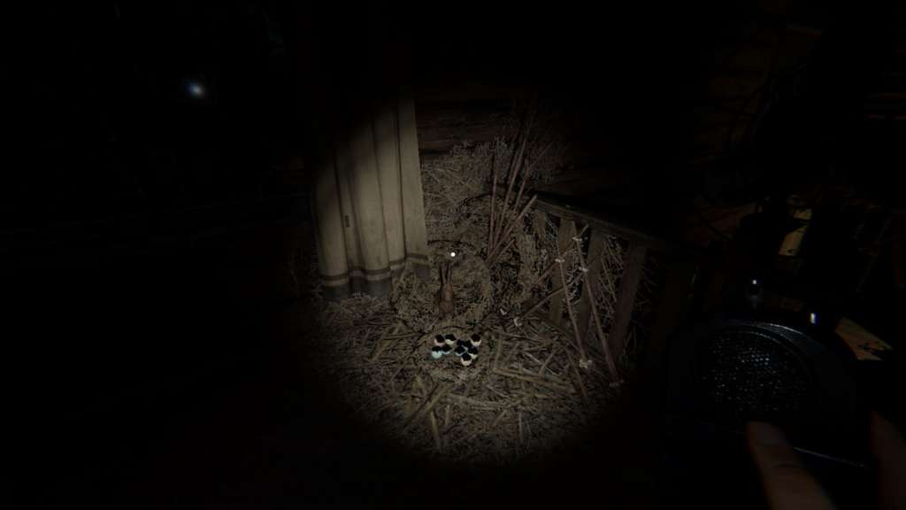 Upstairs hallway forest minion nest at Grafton Farmhouse in Phasmophobia