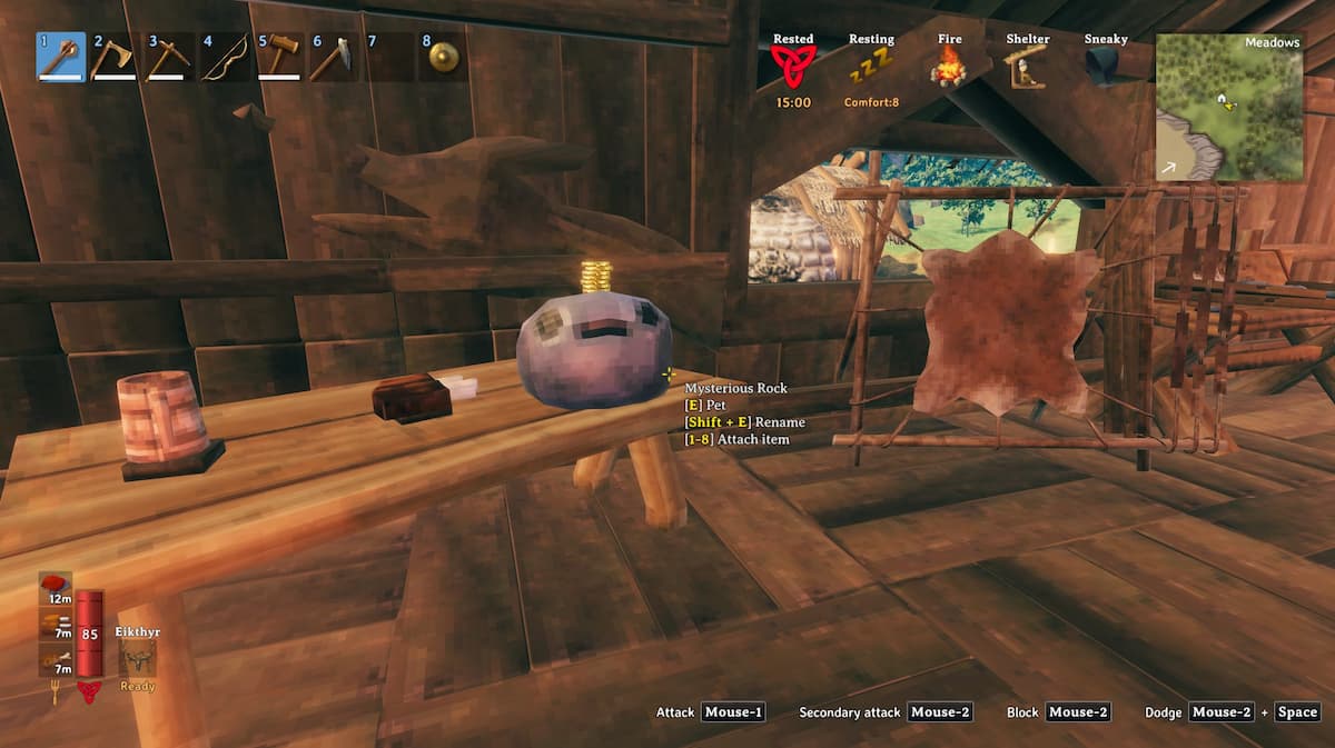 a screenshot of the pet rock in valheim