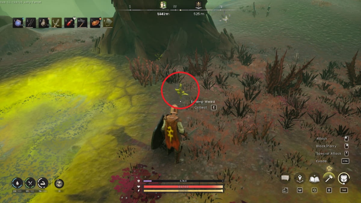 Picking up a Swamp Weed