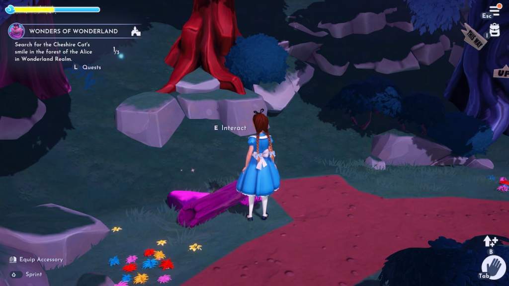 Wonderland salt log in DDV