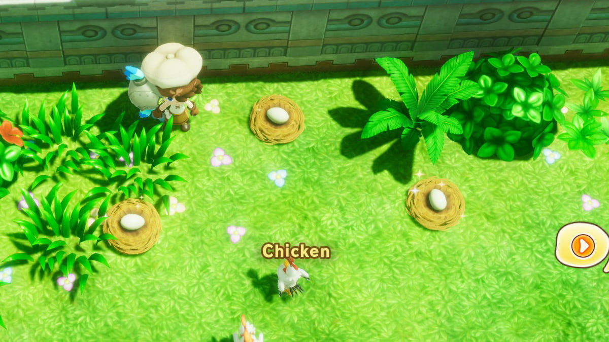 Fantasy Life i chicken eggs