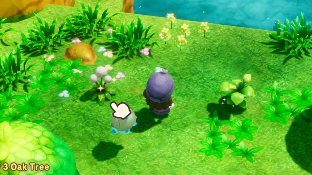 Fantasy Life i Dandelion and regular plants