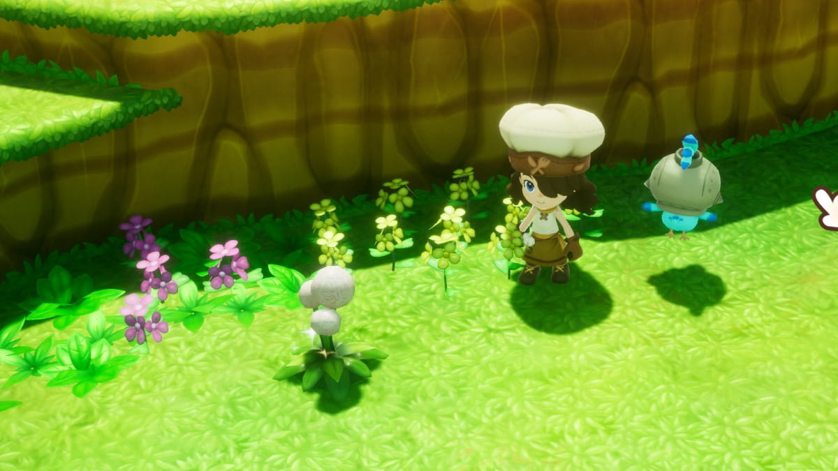 Fantasy Life i Dandelion plant