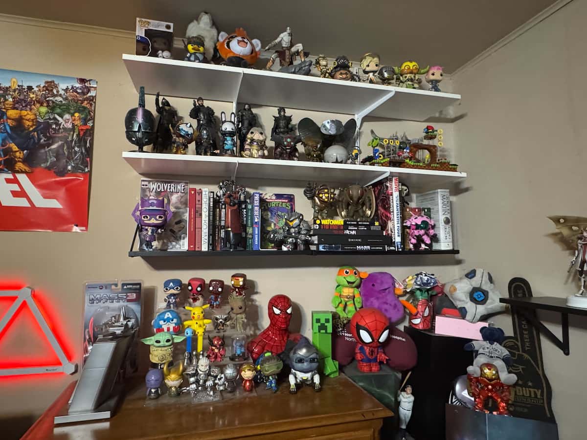 Gamer shelves featuring all sorts of books, knick-knacks, and more