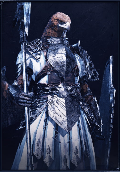 Guardian Elden Ring Nightreign character