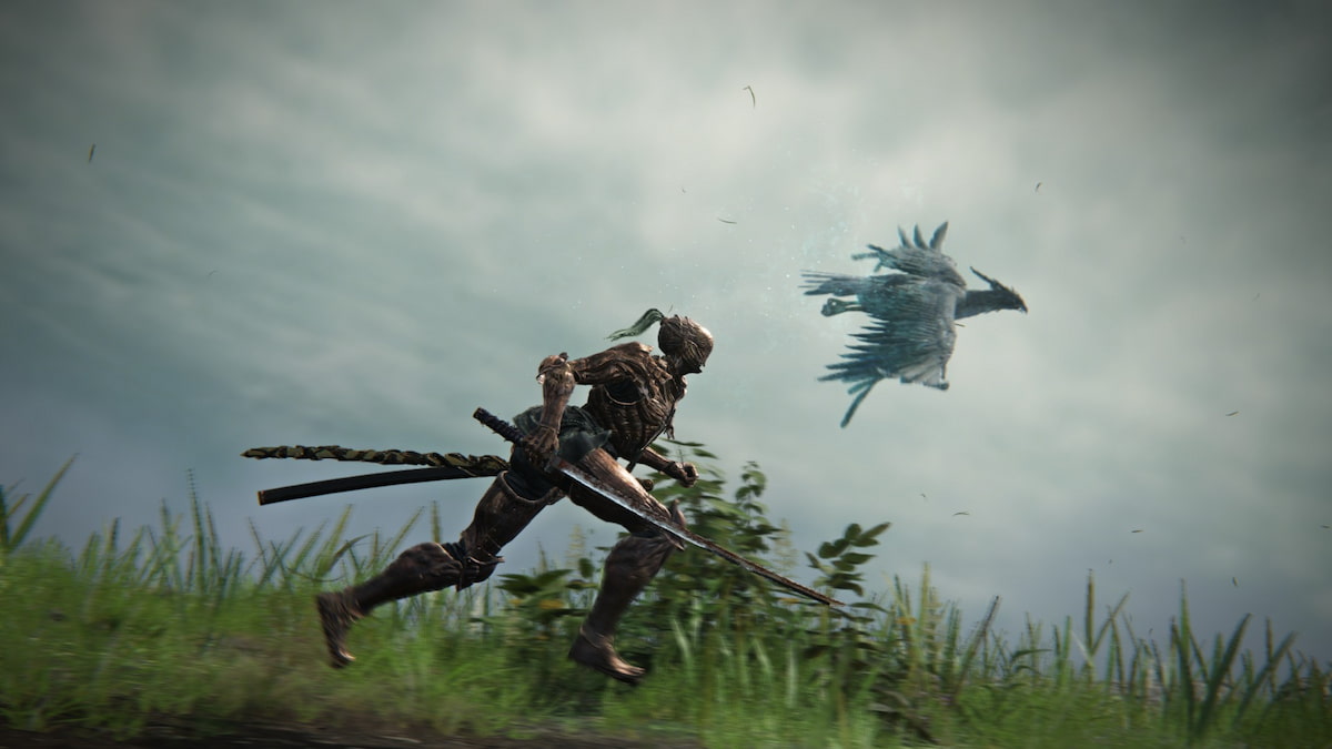 Elden Ring Nightreign Executor running