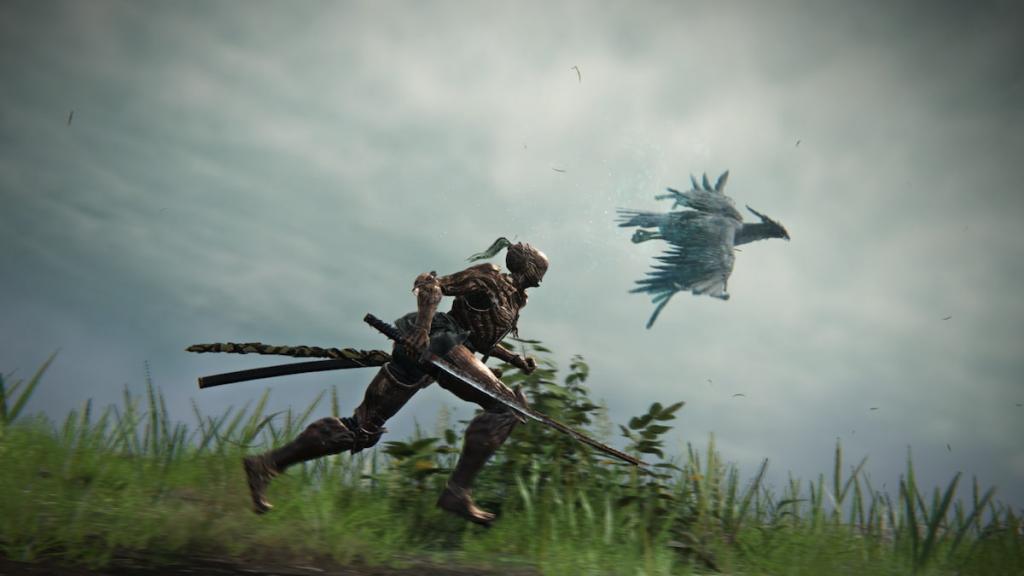 Elden Ring Nightreign Executor running