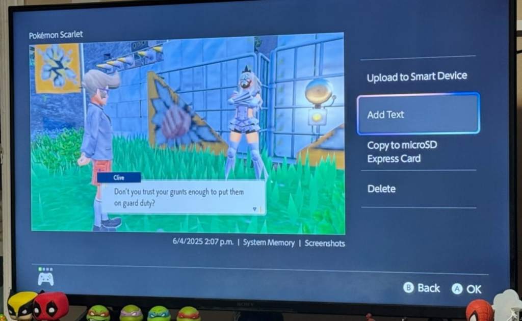 Nintendo Switch 2 screenshot example