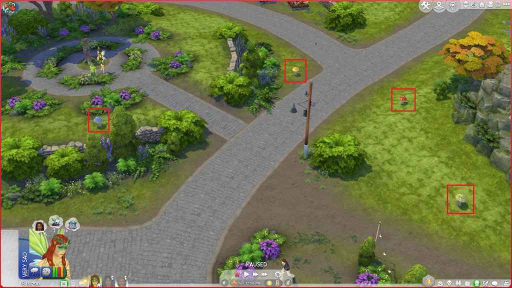 Four mushrooms marked around the wild in the sims 4