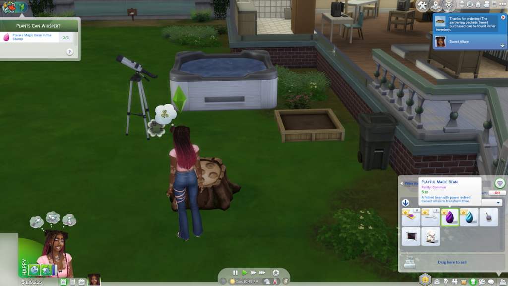 Two magic beans in a sims inventory in the sims 4