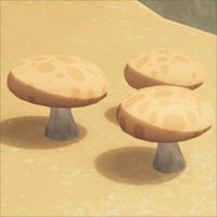 PEAK poisonous Button shroom