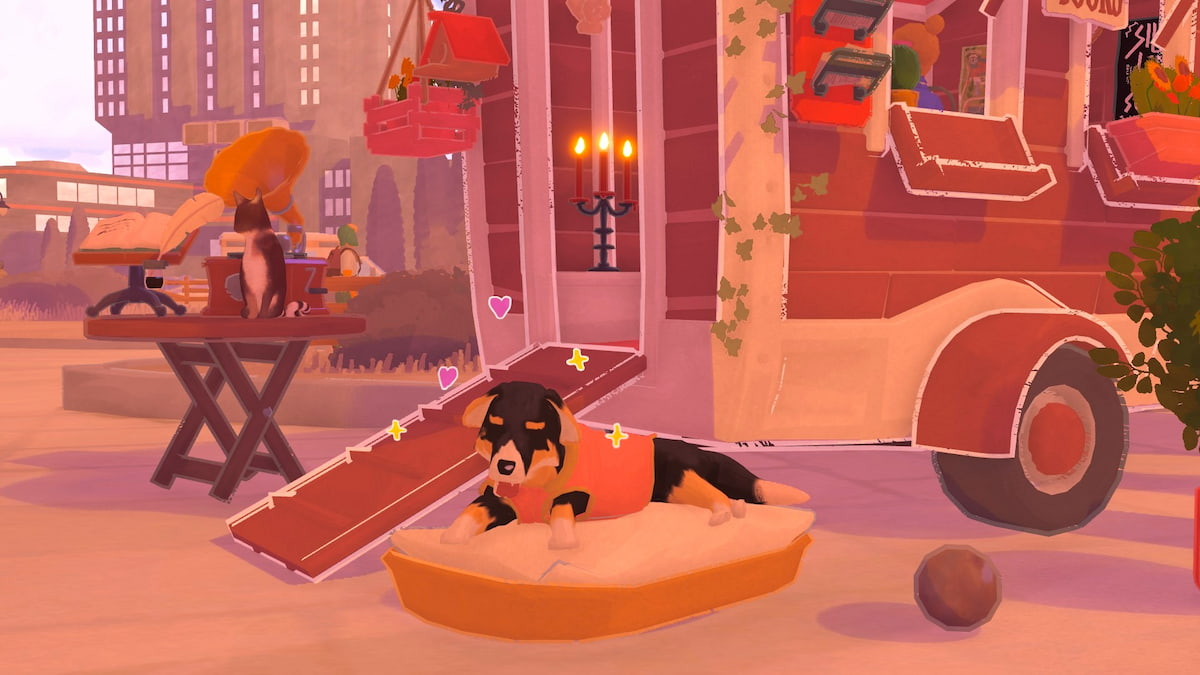 A black and brown dog in a bed by a bookshop in tiny bookshop