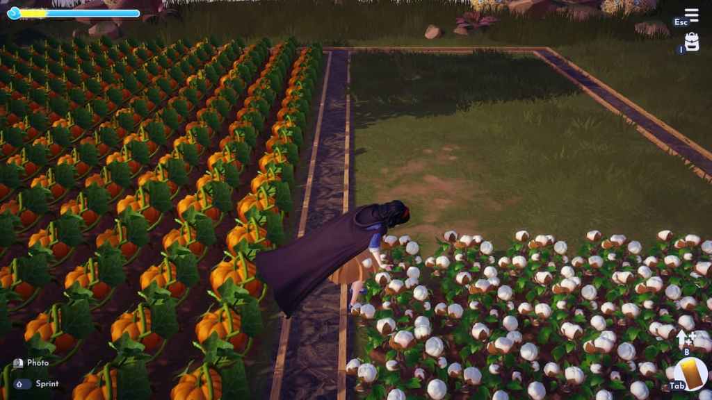 Picking cotton in disney dreamlight valley