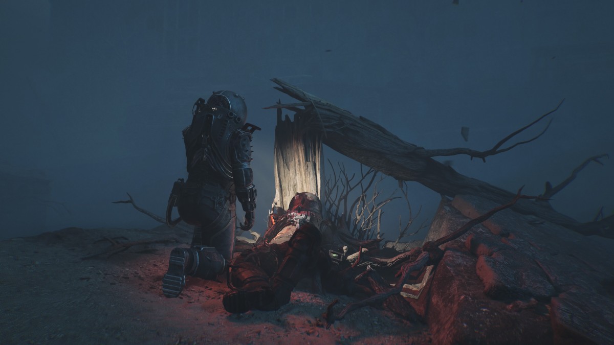 Traveler 3576 kneeling down to a deceased Predecessor lying against a broken tree
