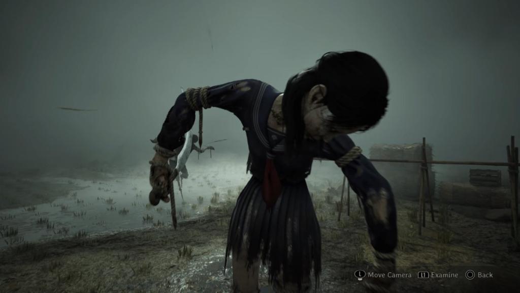 Deceived by you scarecrow