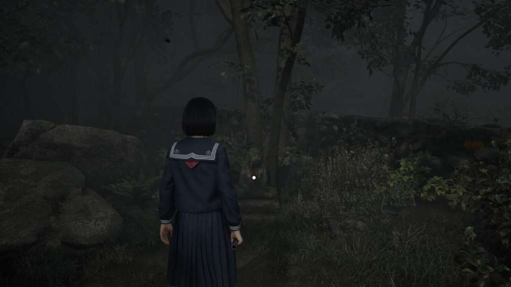 Looking at the Jizu Statue behind the crop fields, on the path before Sakuko's shrine entrance