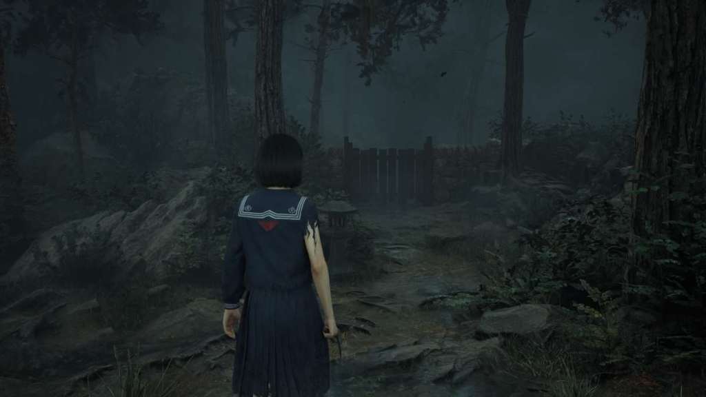 Looking at a dead-end of a wooden gate near Shu's house for the Jizu statue