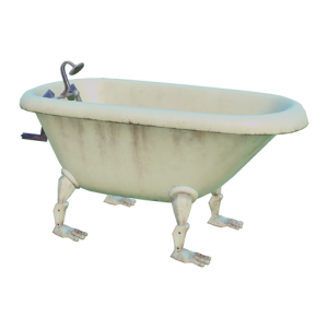 Clawed foot tub in DDV
