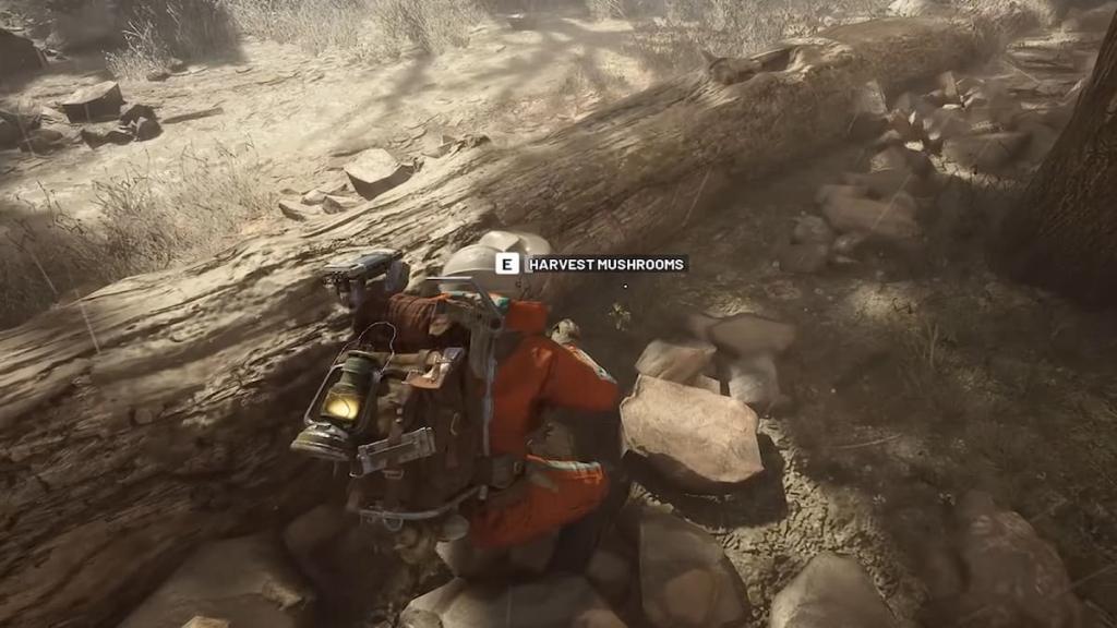 Mushrooms in ARC Raiders