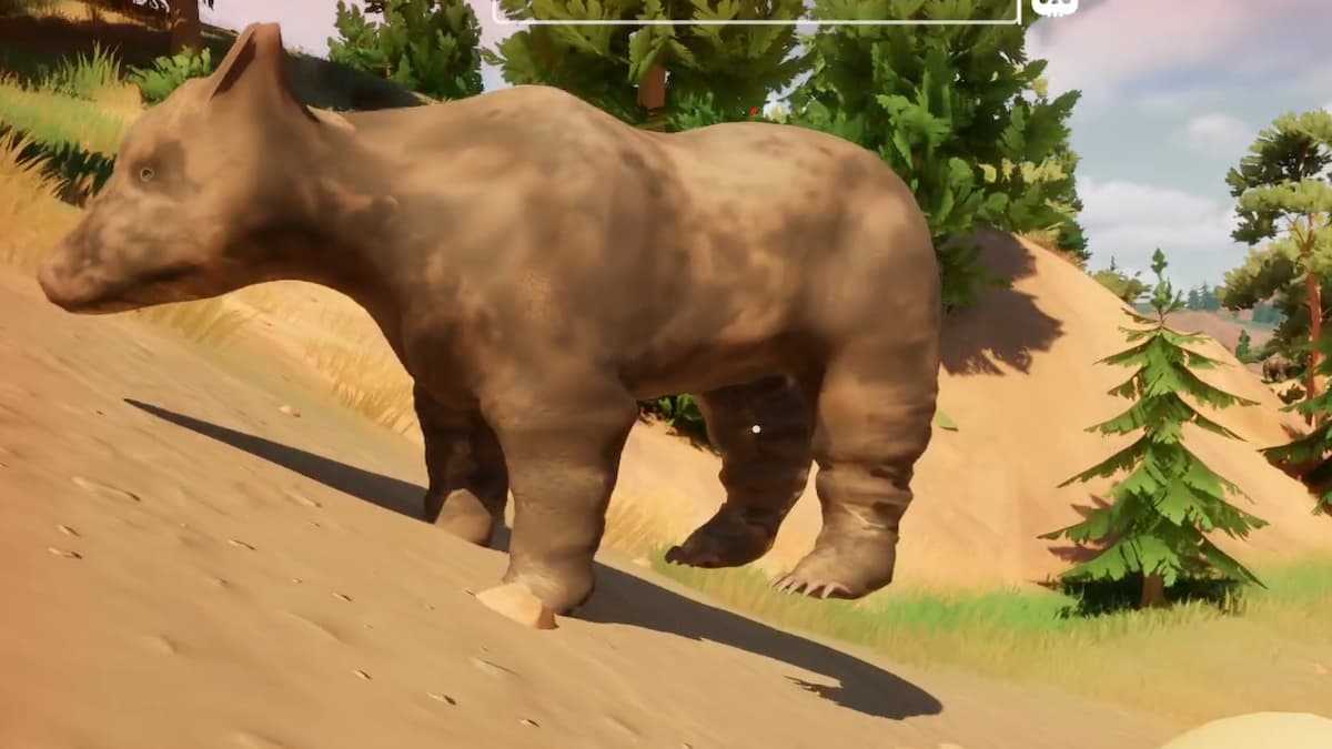 Bear in RV There Yet