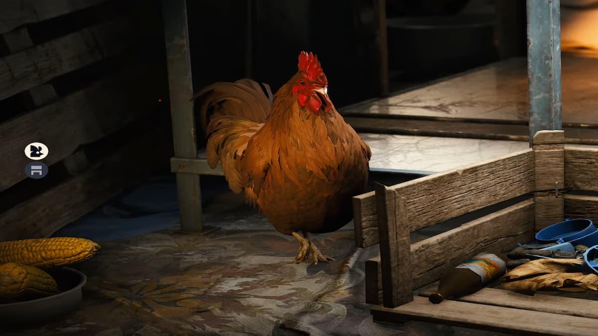 Scrappy in ARC Raiders