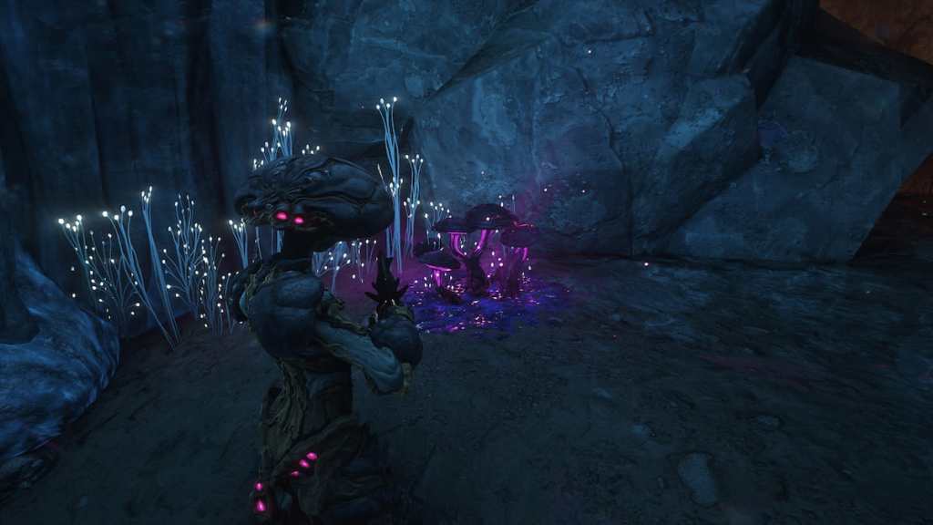 Nokko, a mushroom-themed frame, finds a glowing purple fungus in a dimly lit cave below Fortuna.
