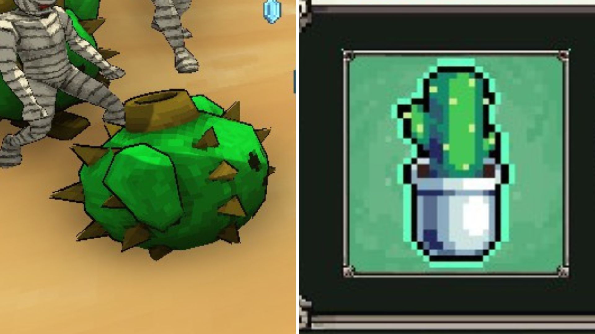 Cactus in the Desert on the left, the Cactus item in the unlocks window on the right