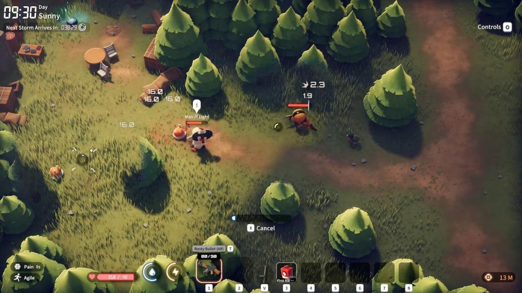 Some ducks fighting in a forest in Escape from Duckov. 