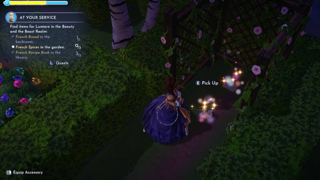 Standing by french spice on the ground in ddv