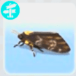 grim head hawkmoth in the sims 4