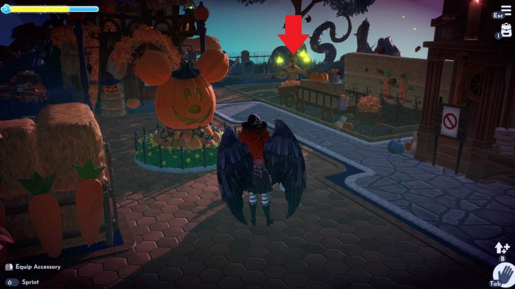 Scarecrow by crow feathers marked in DDV