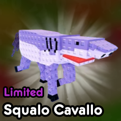 Squalo Cavallo