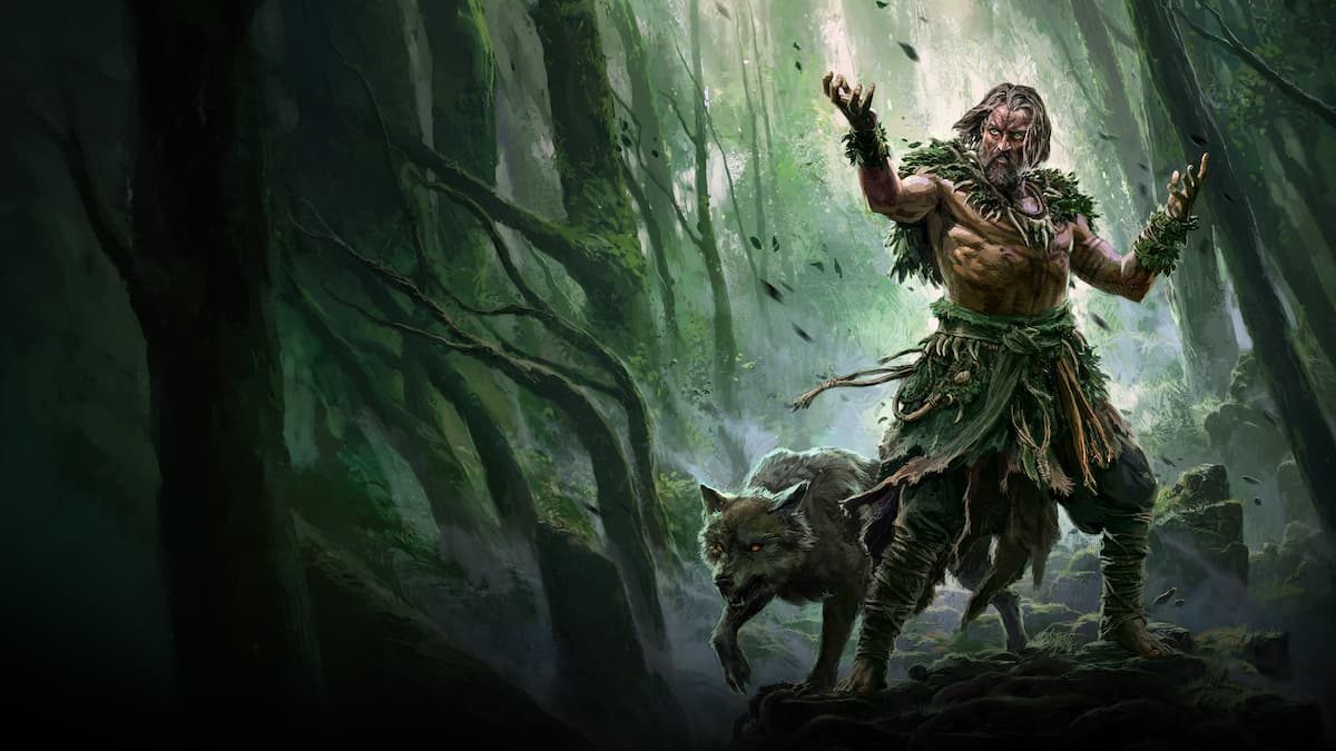 The druid in a forest and with a wolf beside him in Path of Exile 2.