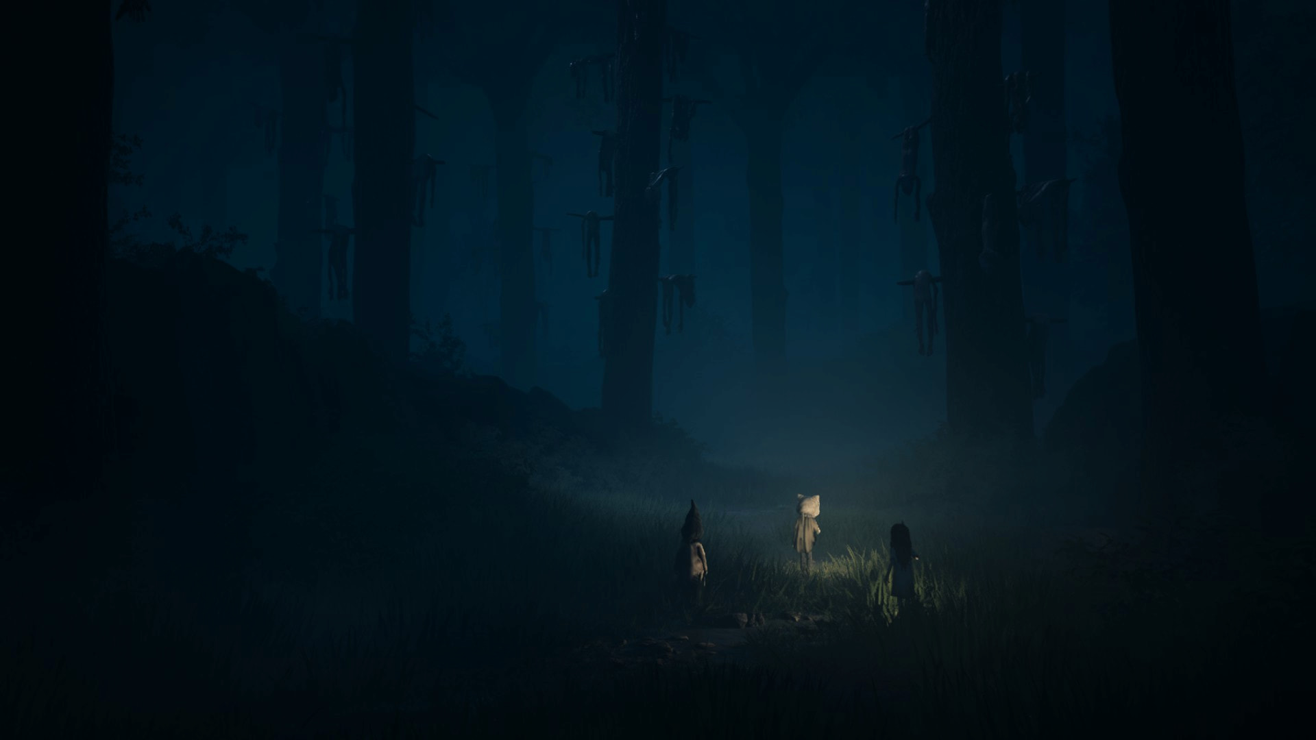 REANIMAL forest