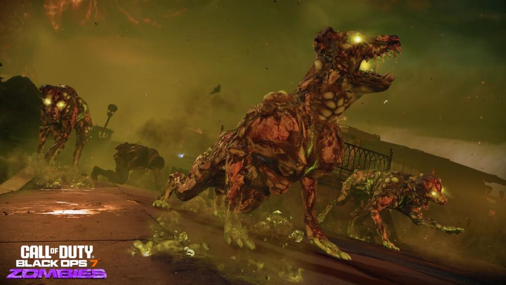 BO7 Zombies Rad-Hound
