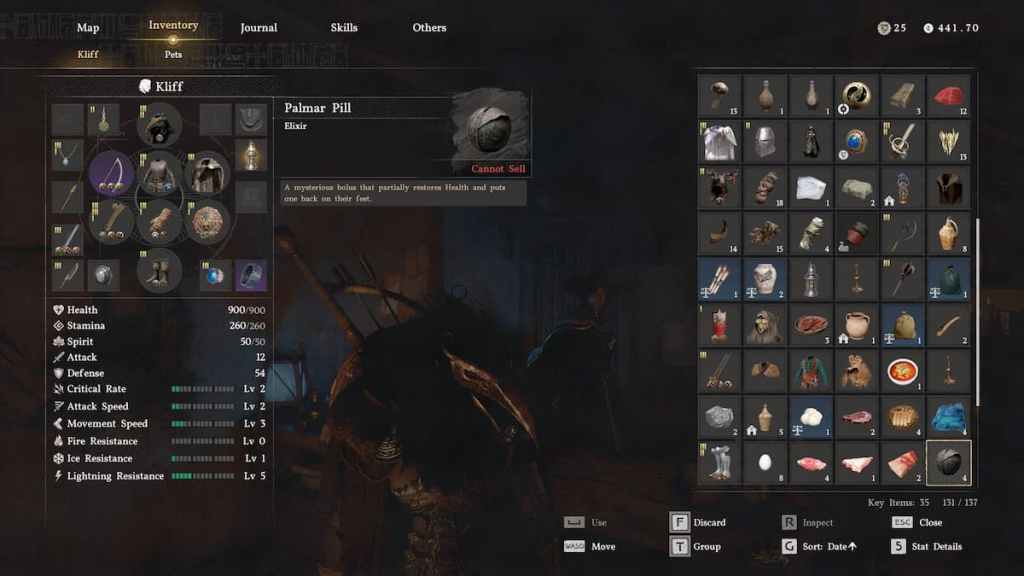 Palmar Pills selected in the Crimson Desert inventory screen.