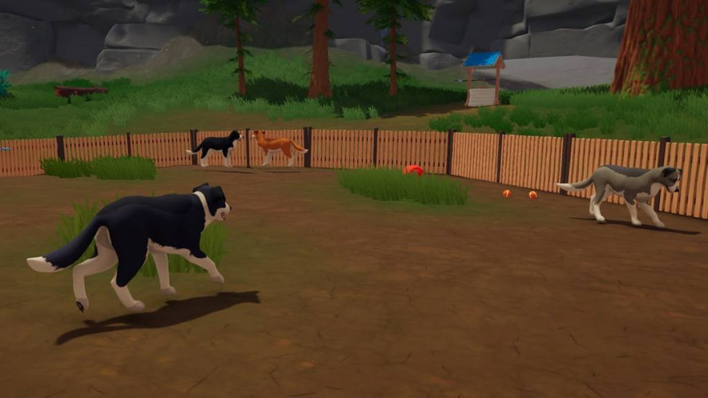 Four dogs in outbound